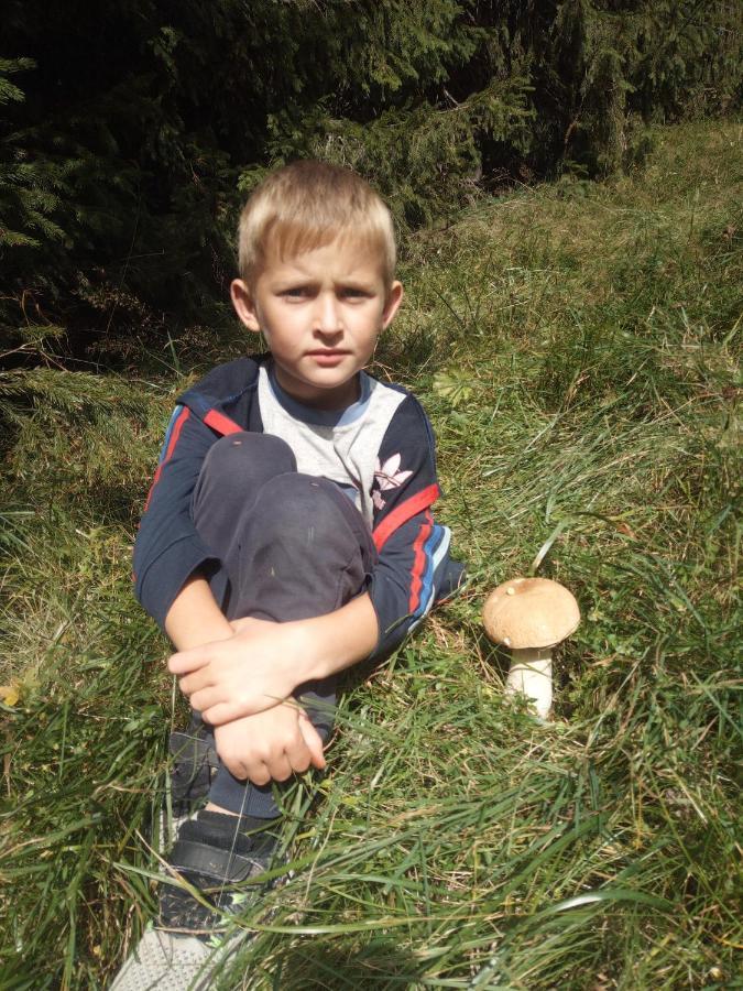 فيلا Fetal Hut - Плідна Хата فيرخوفينا المظهر الخارجي الصورة