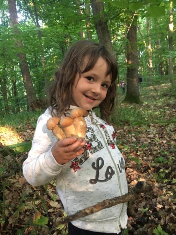 فيلا Fetal Hut - Плідна Хата فيرخوفينا المظهر الخارجي الصورة